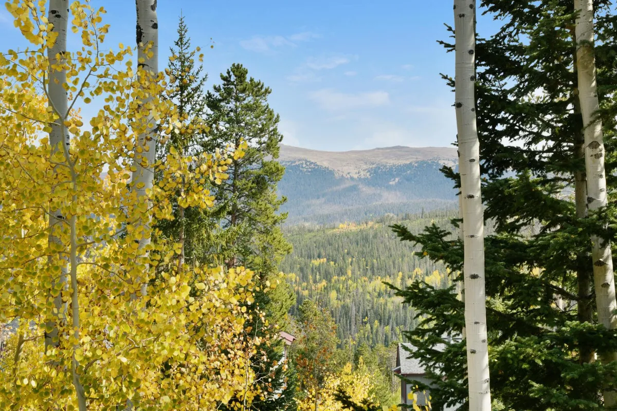 A tranquil mountain landscape with lush yellow aspen trees, green conifers, and a distant mountain range beneath a blue sky. The setting invites hiking, nature photography, and summer exploration, illustrating the summer adventure side of the property's appeal.